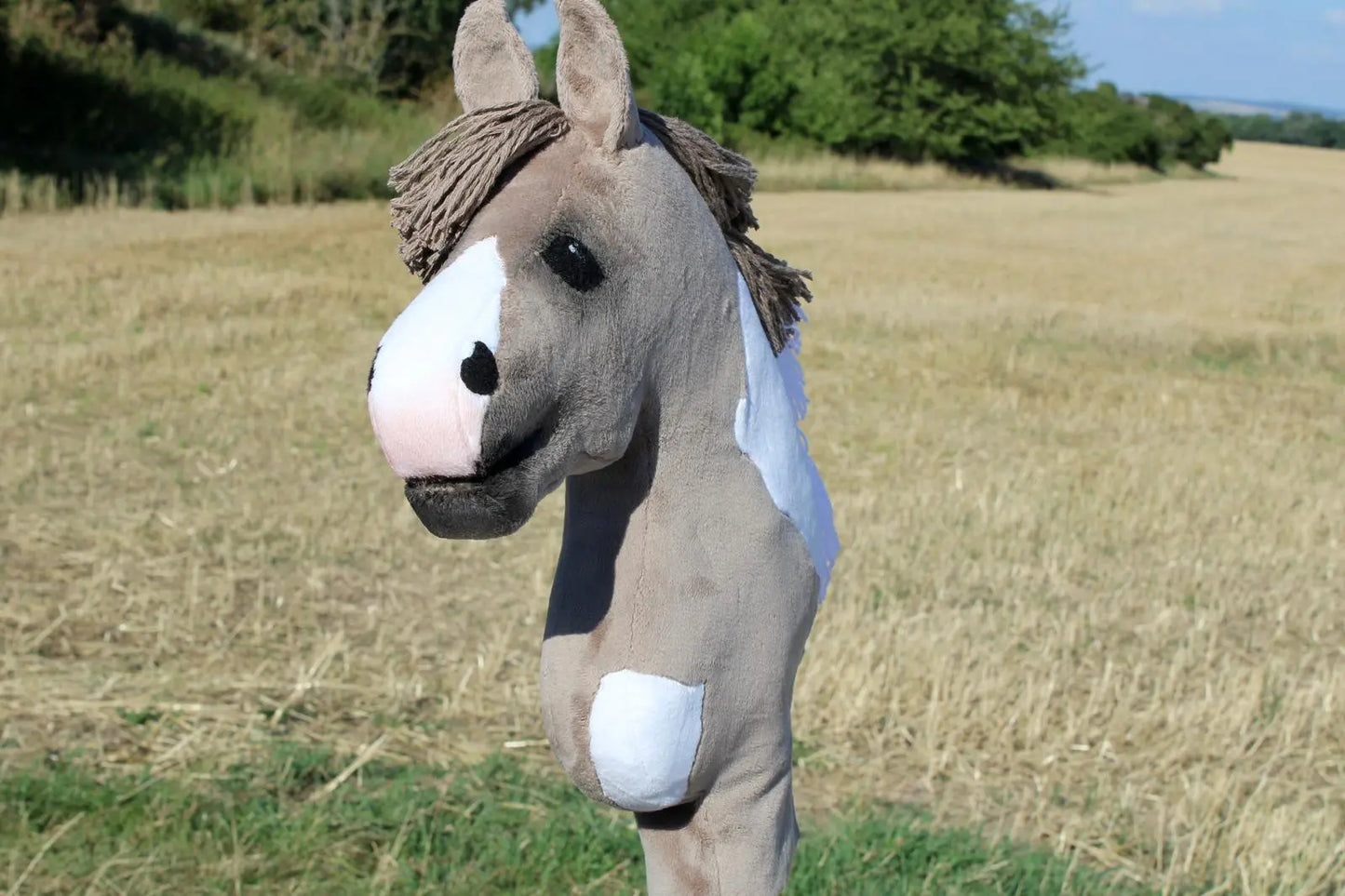 Hobby Horse - Bella Luna Ludus