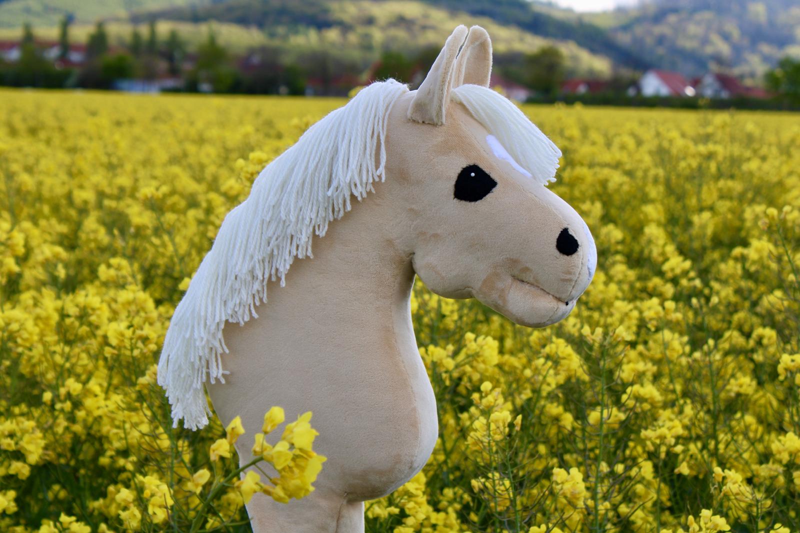 Hobby Horse