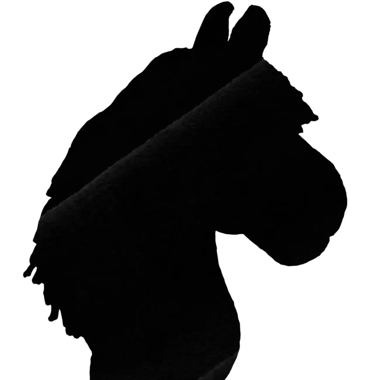Personalisiertes Hobby Horse - hobby-horse24.de