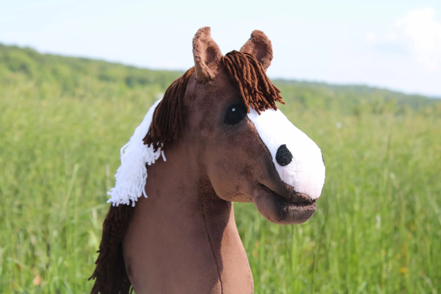 Hobby Horse - Donna Luna Ludus