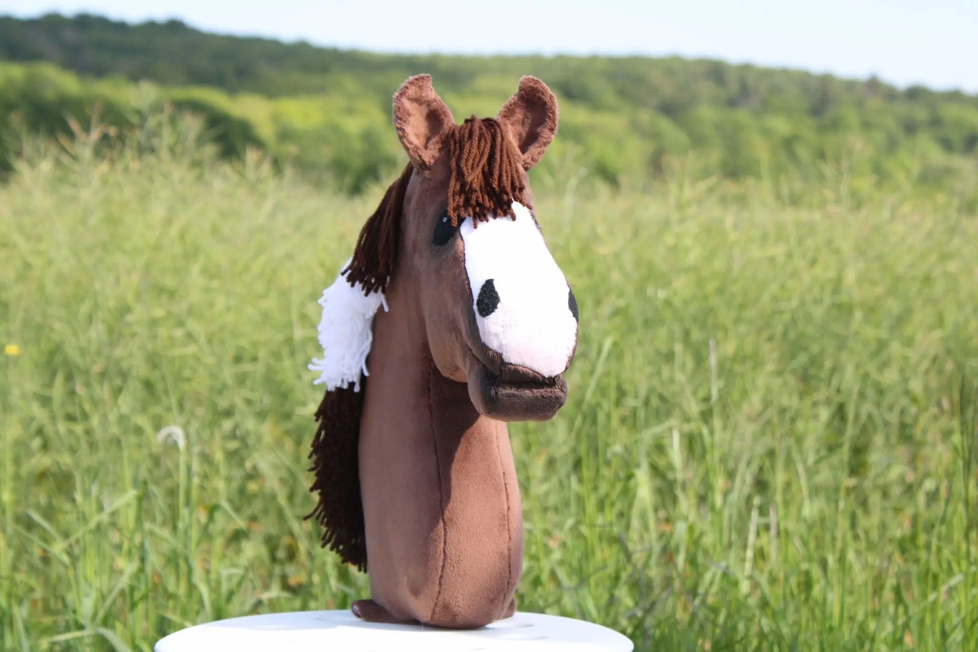 Hobby Horse - Donna Luna Ludus