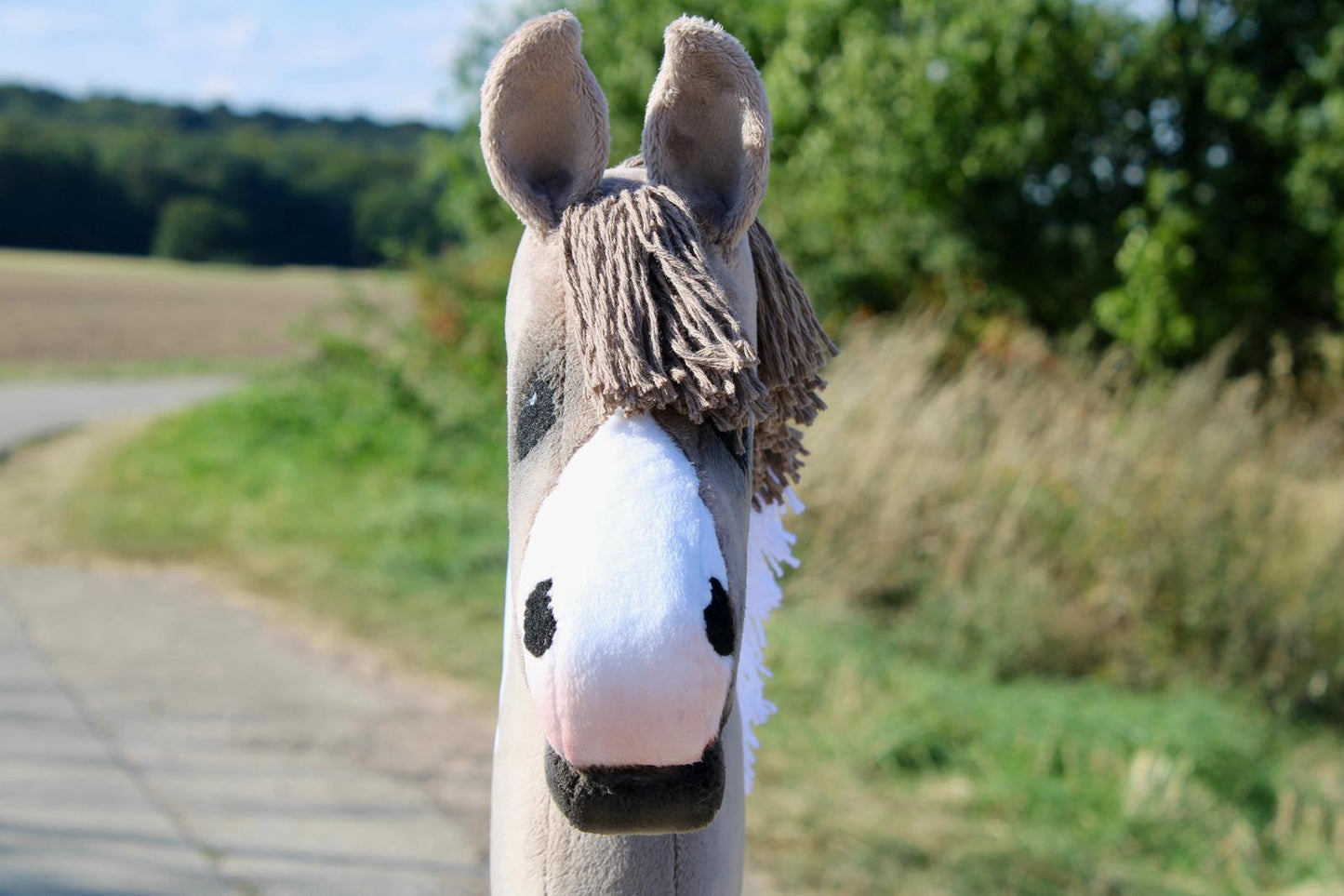 hobby horse kaufen günstig